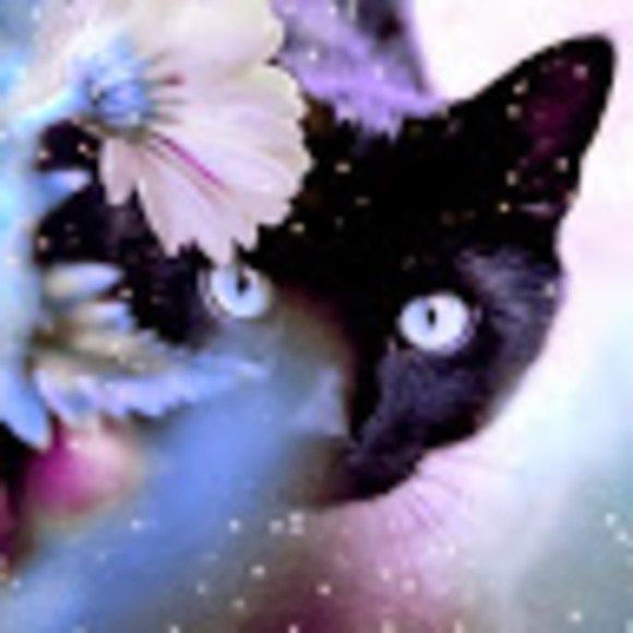 Meet your Posher, Val - Picture 1 of 1